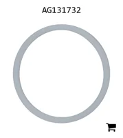 AGCO AG131732 Упорная шайба