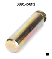 AGCO 3801458M1 Палец