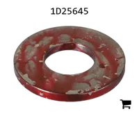 AGCO 1D25645 Шайба