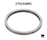 AGCO 3791940M1 Регулировочная шайба