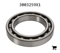 AGCO 3003259X1 Шариковый подшипник