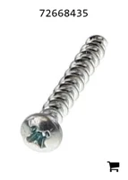 AGCO 72668435 Винт