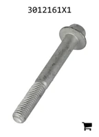 AGCO 3012161X1 Болт с шестигранной головкой и фланцем