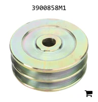 AGCO 3900858M1 Шкив