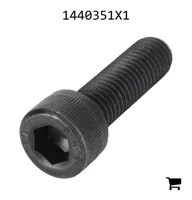 AGCO 1440351X1 Винт с цилиндрической головкой и шестигранным углублением
