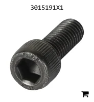 AGCO 3015191X1 Винт с цилиндрической головкой и шестигранным углублением