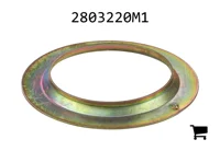 AGCO 2803220M1 Кольцо