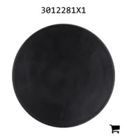 AGCO 3012281X1 Заглушка