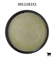 AGCO 3012281X1 Заглушка