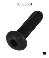 AGCO 505003D1 Болт с полукруглой головкой и шестигранным углублением