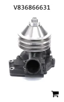 AGCO V836866631 Водяной насос с шкивом