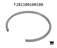 AGCO F281100100180 Стопорная шайба