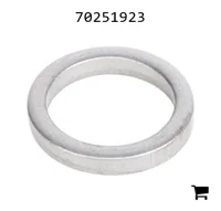 AGCO 70251923 Шайба