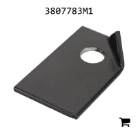AGCO 3807783M1 Шайба