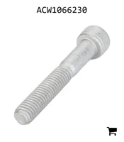 AGCO ACW1066230 Установочный винт с шестигранной головкой