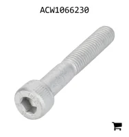 AGCO ACW1066230 Установочный винт с шестигранной головкой