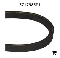 AGCO 3717985M1 Ремень