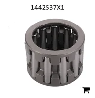 AGCO 1442537X1 Игольчатый подшипник