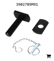 AGCO 3902789M91 Комплект запчастей