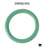 AGCO 3909825M1 Уплотнительное кольцо