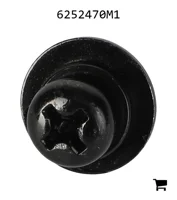 AGCO 6252470M1 Винт