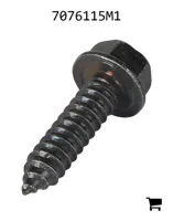 AGCO 7076115M1 Винт