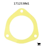 AGCO 1712530W1 Шайба