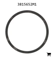 AGCO 3815652M1 Проставочная втулка