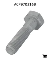AGCO ACP0703160 Болт с шестигранной головкой