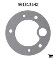 AGCO 5015132M2 Прокладка