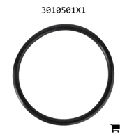 AGCO 3010501X1 Уплотнительное кольцо