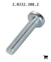 AGCO 2.0332.308.2 Винт