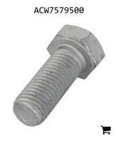 AGCO ACW7579500 Болт с шестигранной головкой