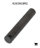 AGCO 4265018M2 Вал