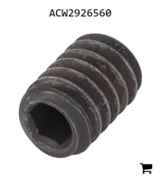 AGCO ACW2926560 Жиклер