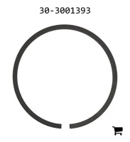 AGCO 30-3001393 Кольцо