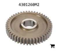 AGCO 4301260M2 Шестерня дифференциала