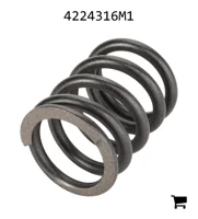 AGCO 4224316M1 Пружина