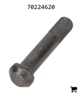 AGCO 70224620 Болт