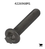 AGCO 4226968M1 Винт