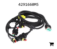 AGCO 4291660M5 Жгут