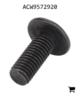 AGCO ACW9572920 Винт с головкой Torx