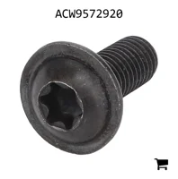 AGCO ACW9572920 Винт с головкой Torx