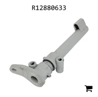 AGCO R12880633 Коленвал