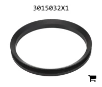 AGCO 3015032X1 Радиальное уплотнительное кольцо