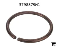 AGCO 3798879M1 Стопорное кольцо
