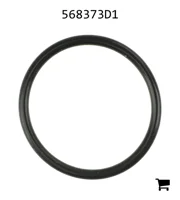 AGCO 568373D1 Уплотнительное кольцо