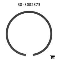AGCO 30-3002373 Кольцо