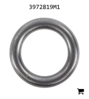 AGCO 3972819M1 Уплотнительное кольцо