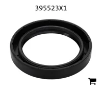 AGCO 395523X1 Радиальное уплотнительное кольцо
